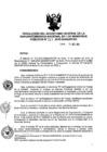Vista preliminar de documento RES. 231-2015-SUNARP-SG