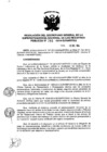 Vista preliminar de documento RES. 293-2014-SUNARP-SG