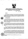 Vista preliminar de documento RES. 207-2015-SUNARP-SG
