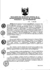 Vista preliminar de documento RES. 183-2015-SUNARP-SG