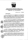 Vista preliminar de documento RES. 173-2015-SUNARP-SG
