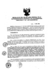 Vista preliminar de documento RES. 301-2014-SUNARP-SG