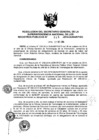 Vista preliminar de documento RES. 246-2014-SUNARP-SG