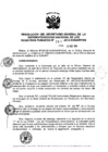 Vista preliminar de documento RES. 251-2014-SUNARP-SG