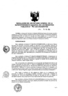 Vista preliminar de documento RES. 162-2014-SUNARP-SG