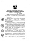 Vista preliminar de documento RES. 048-2013-SUNARP-SG