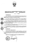 Vista preliminar de documento RES. 029-2020-SUNARP-SN