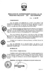 Vista preliminar de documento RES. 009-2020-SUNARP-SN