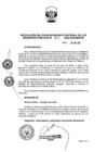 Vista preliminar de documento RES. 011-2020-SUNARP-SN
