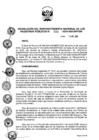 Vista preliminar de documento RES. 008-2020-SUNARP-SN