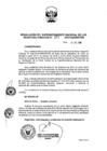 Vista preliminar de documento RES. 271-2019-SUNARP-SN