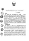 Vista preliminar de documento RES. 260-2019-SUNARP-SN