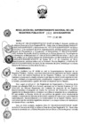 Vista preliminar de documento RES. 262-2019-SUNARP-SN