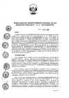 Vista preliminar de documento RES. 252-2019-SUNARP-SN