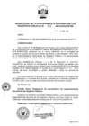 Vista preliminar de documento RES. 246-2019-SUNARP-SN