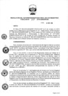 Vista preliminar de documento RES. 217-2019-SUNARP-SN
