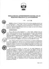 Vista preliminar de documento RES. 203-2019-SUNARP-SN