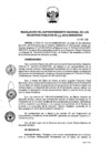 Vista preliminar de documento RES. 193-2019-SUNARP-SN