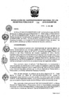 Vista preliminar de documento RES. 138-2019-SUNARP-SN