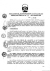 Vista preliminar de documento RES. 110-2019-SUNARP-SN