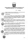 Vista preliminar de documento RES. 105-2019-SUNARP-SN
