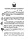 Vista preliminar de documento RES. 099-2019-SUNARP-SN