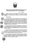 Vista preliminar de documento RES. 098-2019-SUNARP-SN