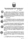 Vista preliminar de documento RES. 094-2019-SUNARP-SN