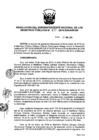 Vista preliminar de documento RES. 077-2019-SUNARP-SN