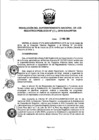 Vista preliminar de documento RES. 074-2019-SUNARP-SN