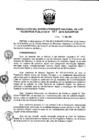 Vista preliminar de documento RES. 061-2019-SUNARP-SN