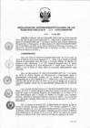 Vista preliminar de documento RES. 035-2019-SUNARP-SN