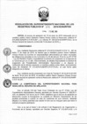 Vista preliminar de documento RES. 015-2019-SUNARP-SN