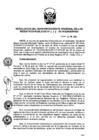 Vista preliminar de documento RES. 010-2019-SUNARP-SN