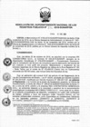 Vista preliminar de documento RES. 314-2018-SUNARP-SN