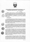 Vista preliminar de documento RES. 304-2018-SUNARP-SN