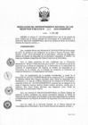 Vista preliminar de documento RES. 262-2018-SUNARP-SN