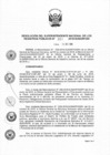 Vista preliminar de documento RES. 261-2018-SUNARP-SN