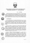 Vista preliminar de documento RES. 219-2018-SUNARP-SN