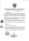 Vista preliminar de documento RES. 201-2017-SUNARP-SN