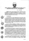 Vista preliminar de documento RES. 205-2017-SUNARP-SN