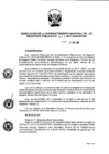 Vista preliminar de documento RES. 017-2017-SUNARP-SN