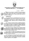 Vista preliminar de documento RES. 133-2011-SUNARP-SN