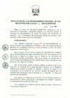 Vista preliminar de documento RES. 331-2009-SUNARP-SN
