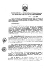 Vista preliminar de documento RES. 330-2009-SUNARP-SN