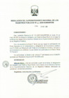 Vista preliminar de documento RES. 315-2009-SUNARP-SN