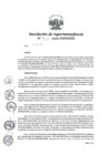 Vista preliminar de documento RSI 52-2021.pdf