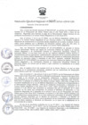 Vista preliminar de documento RER_365_2016.pdf