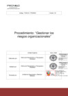 Vista preliminar de documento Procedimiento Gestionar los riesgos organizacionales - RDE N 019-2021 