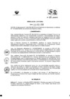 Vista preliminar de documento RJ 055-2008/SIS